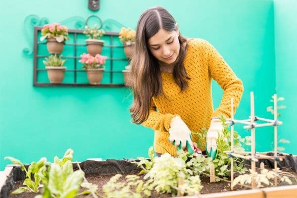 Les secrets pour entretenir son jardin sans se casser le dos