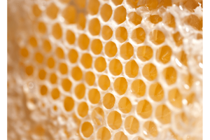 Emballlage en cire d'abeille Bee Wrap