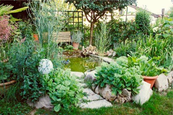 Comment construire un bassin dans son jardin