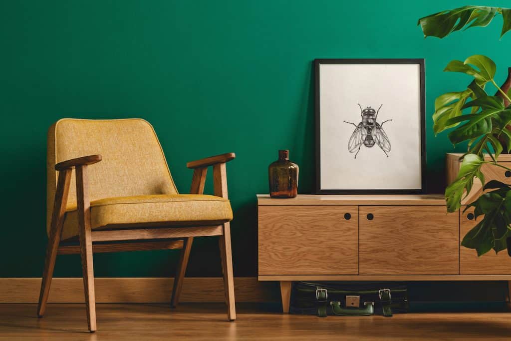 Intérieur de salon minimaliste chic avec un poster d'insectes encadré sur une commode en bois, un fauteuil jaune et une plante monstrueuse.