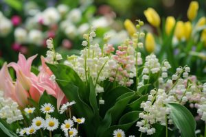 Découvrez comment transformer votre jardin en une oasis de muguet pour le 1er mai : Le guide ultime pour cultiver et récolter votre propre porte-bonheur