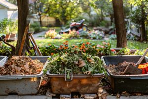 Trois méthodes brillantes pour transformer vos déchets de tonte en trésors pour votre jardin